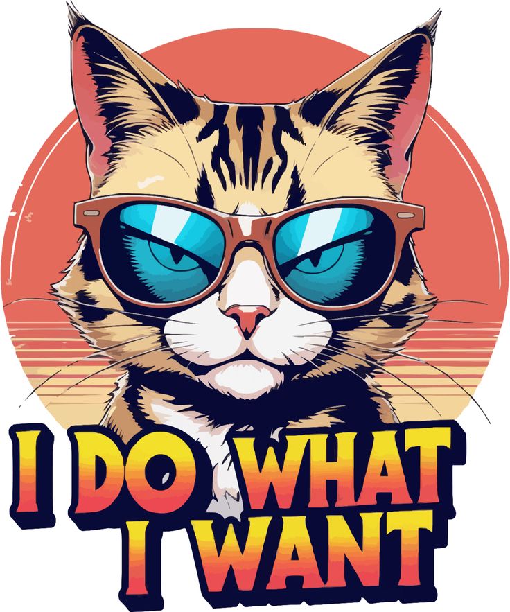 I Do What I Want Oversized T-shirt